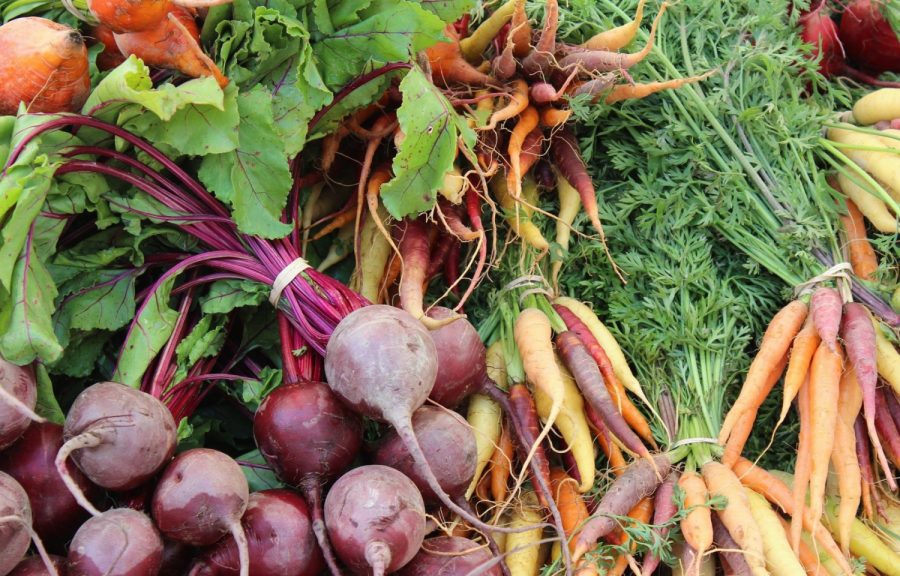 Coming Soon: The Pingree Farmstand