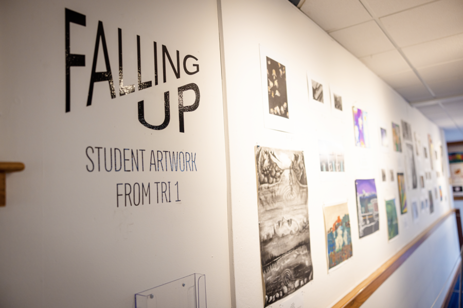 Falling Up Student Art Show