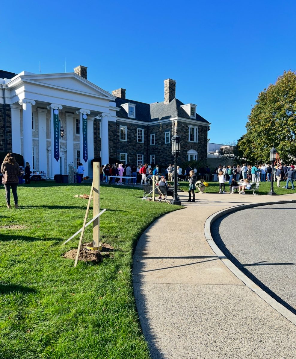 Why did you Choose Pingree?