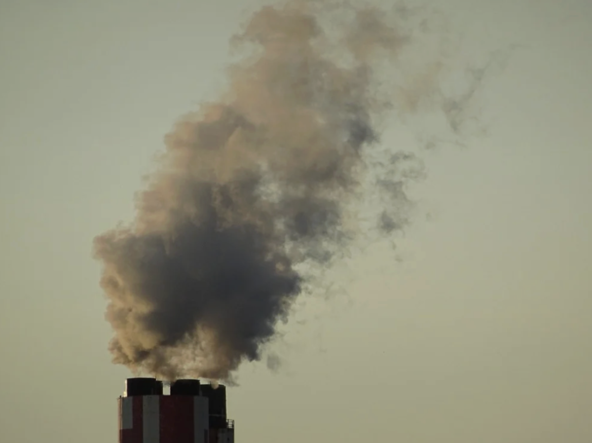 Trump vs. the Environment